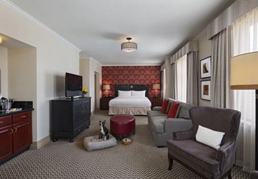 PET-FRIENDLY TRAVEL PERKS