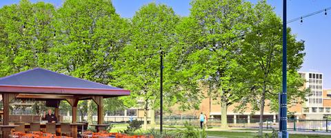 Hotel Features & Amenities