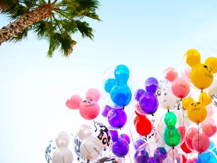 Magic Key Holder Rate