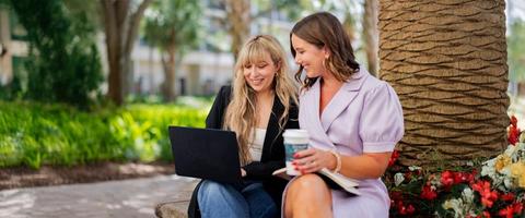 Connect & Collaborate